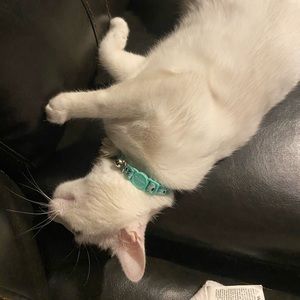 Meet your Posher, Crystal